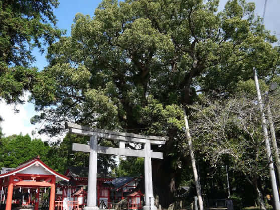 山宮神社